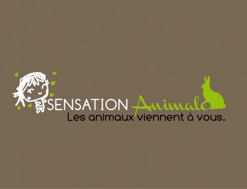 Logotype – Sensation Animale